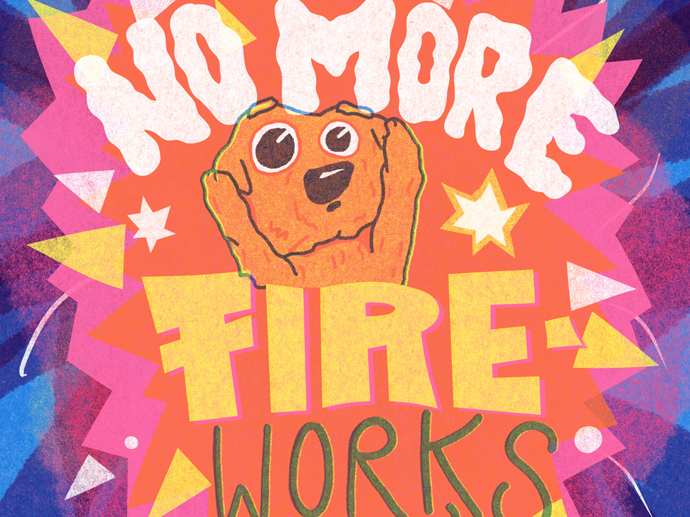 No More Fireworks Thana Friel